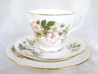 DUCHESS Bone China Trio - Dog Rose - Pretty!!