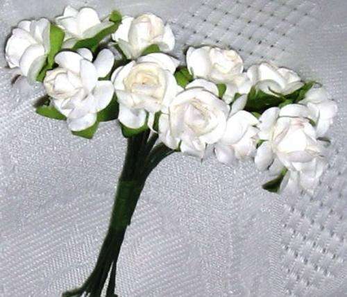 CLEARANCE SALE!!!!!!!! Beautifull White flowers (12 Pack)