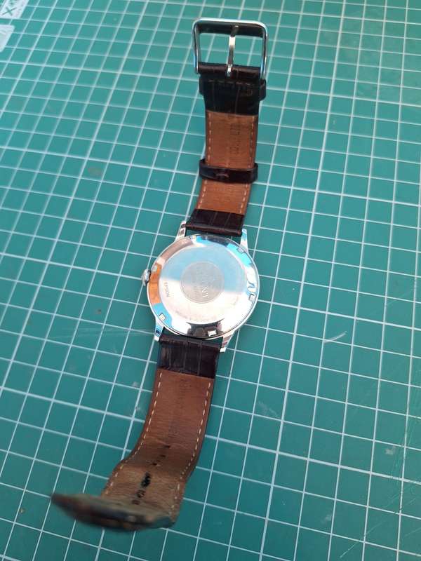 Orient Bambino Automatic Watch