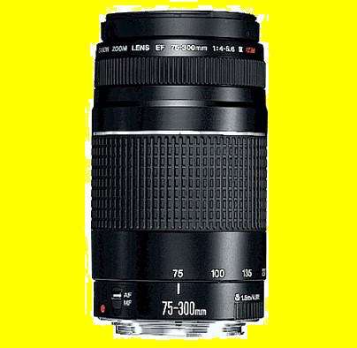 Canon EF 75-300mm f/4.0-5.6 III lens