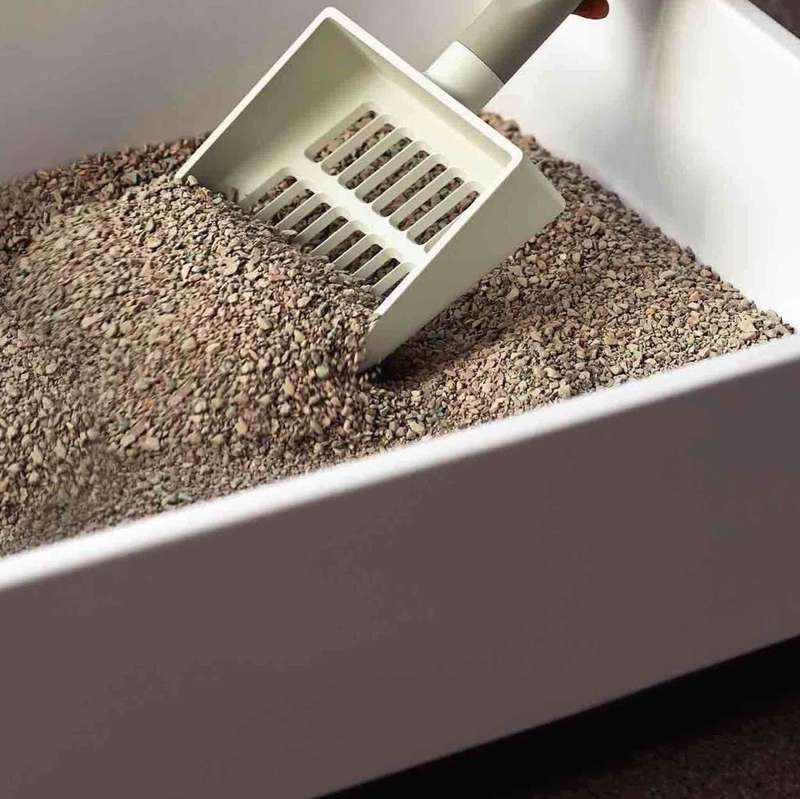 Cat Litter - Clay - 20 Liter / +-22 kg