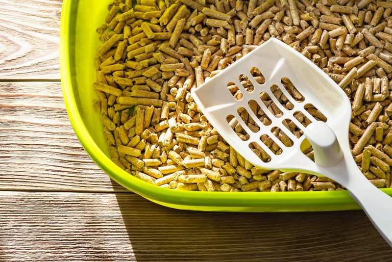 Cat Litter - Wood Pellets - 10 Liter / +-6 kg