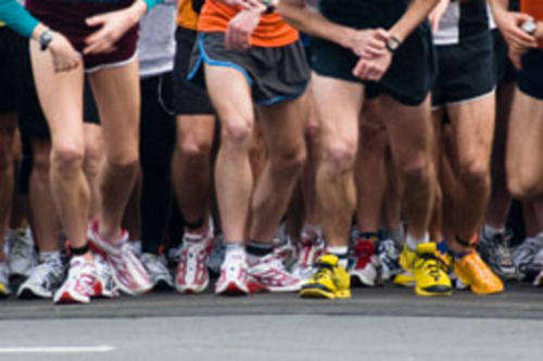 Entry Ticket for Knysna Forest Half Marathon