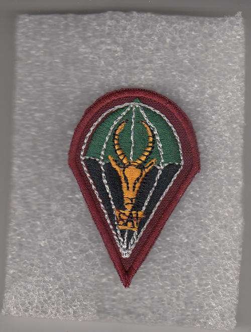 1 PARA BATTALION BERET BADGE  NO QUALIFIED MEMBERS