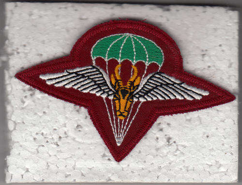 1 PARA BATTALION BERET BADGE OTHER RANKS