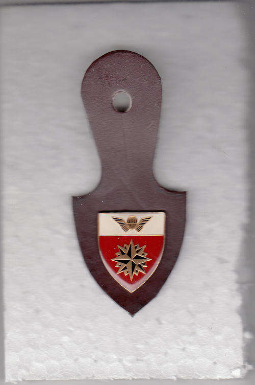 5 SPECIAL FORCES REGIMENT AFFILIATION BADGE ALL PINS original