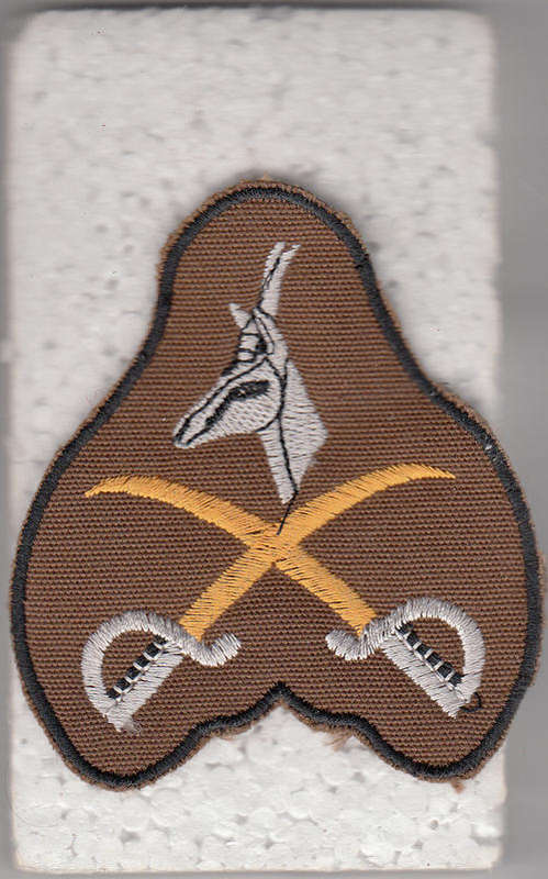 ADVANCED PT INSTRUCTOR FIELD DRESS