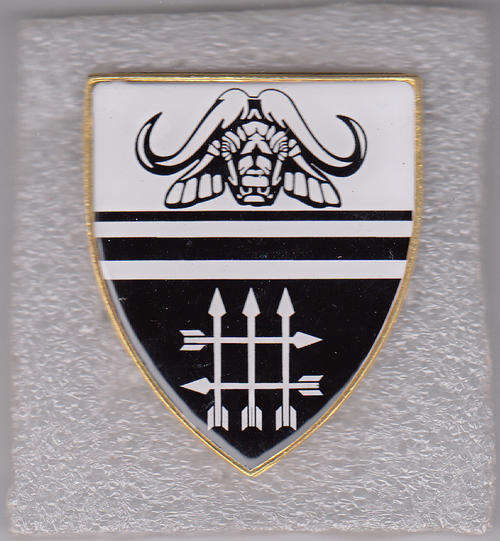 32 BATTALION SHOULDER FLASH 3 PINS NOT APPROVED