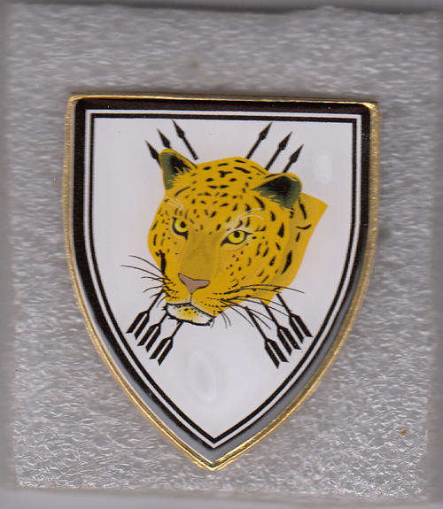 32 BATTALION SHOULDER FLASH 3 PINS NOT APPROVED company