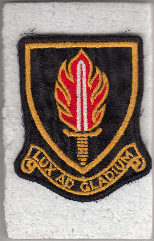S.A. INTELLIGENCE CORPS BADGE