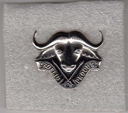 32 BATTALION CAP   BADGE 2 PINS