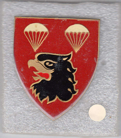 2 PARA BATTALION SHOULDER FLASH 3 PINS original