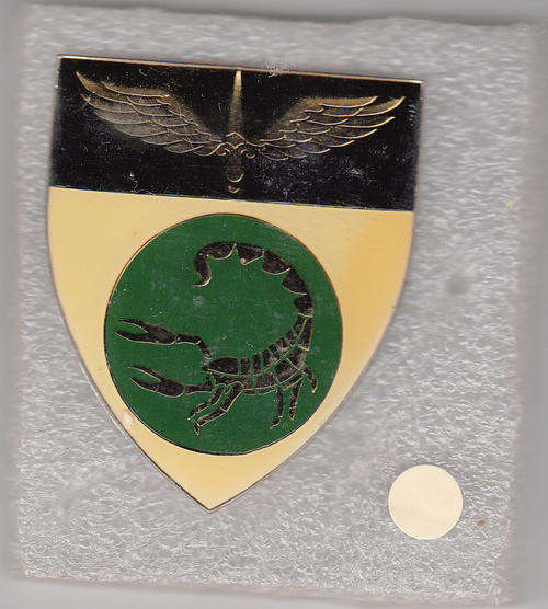 2 RECONNAISSANCE COMMANDO SHOULDER FLASH 3 PINS