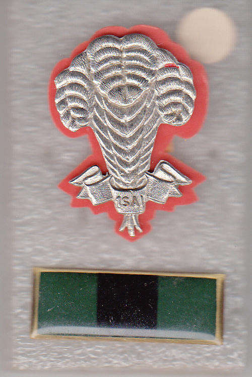 1 S. A INFANTRY CAP BADGES ALL PINS