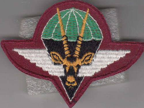 S W A PARA BN BERET BADGE