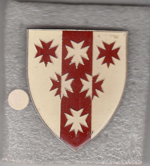 6 MEDICAL GROUP BATTALION SHOULDER FLASH 3 pins