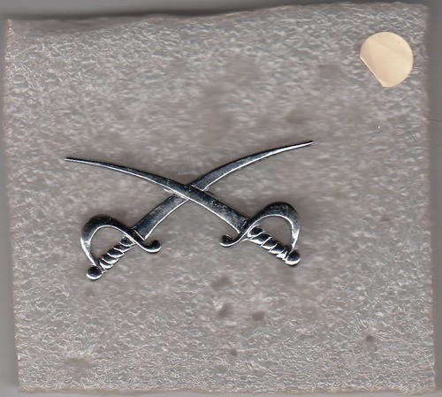 ASSISTANT PT INSTRUCTOR CHROME METAL 3 rd PATTERN all pins
