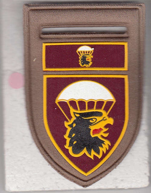44 PARACHUTE BRIGADE   HQ  SHOULDER FLASH 1 PIN