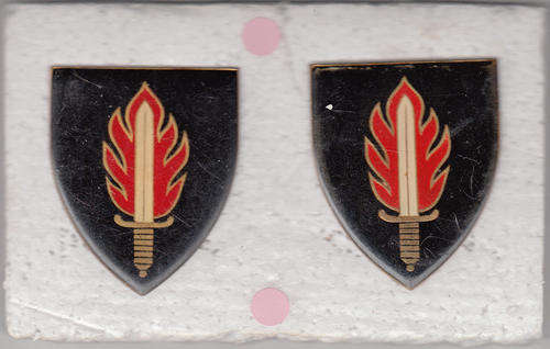 INTELLIGENCE  SCHOOL SHOULDER FLASH all pins