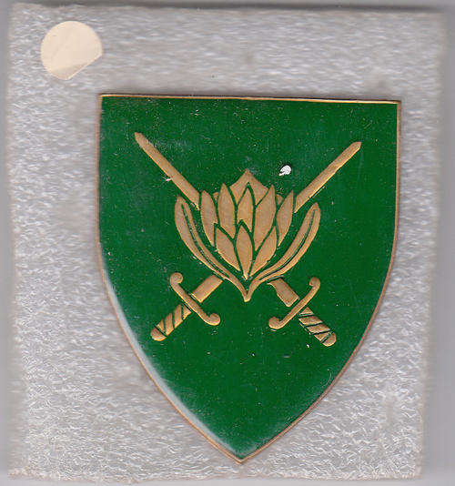 1 S.A. CORPS HQ SHOULDER FLASH 3 PINS