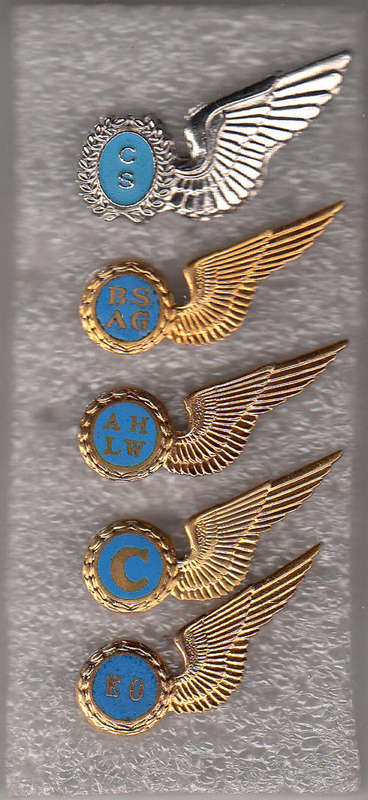 AIR CREW WING all pins mess dress