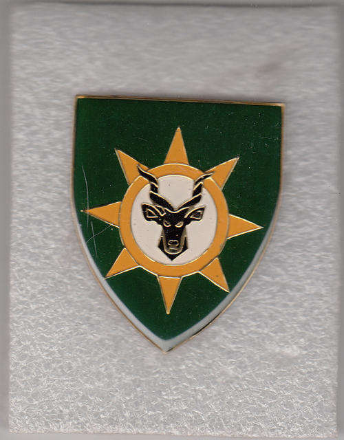 13 S.A.I. BATTALION SHOULDER FLASH 3 PINS