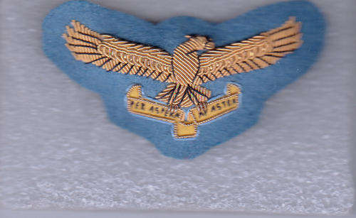 South African Airforce Senior Officer Cap Badge