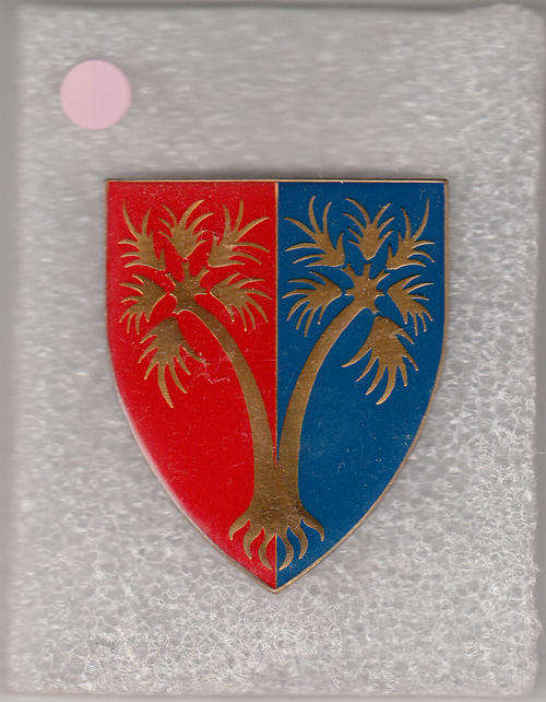 101 WORKSHOP GROOTTFONTEIN SHOULDER FLASH 2 pins