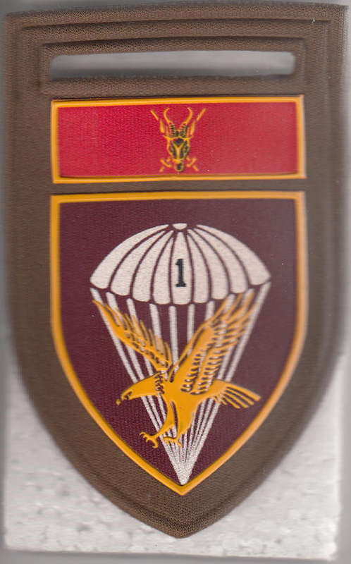 1 PARA BATTALION SHOULDER FLASH 1 PIN