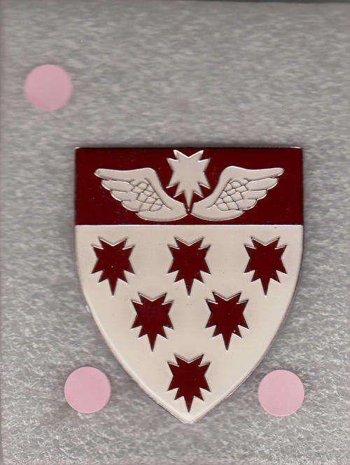 7 Medical Group Battalion Shoulder Flash 3 PINS