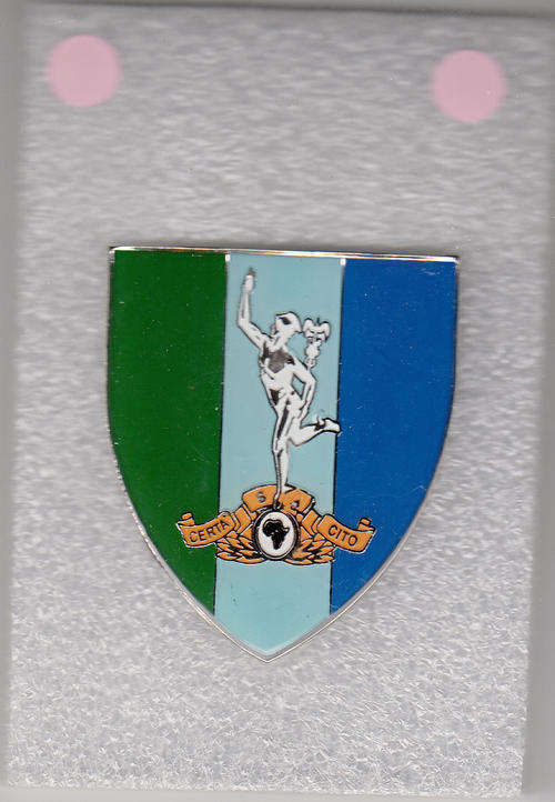 SA ARMY SIGNALS FORMATION SHOULDER FLASH 3 PINS