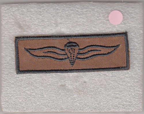 SANDF PARA WINGS CLOTH BADGE