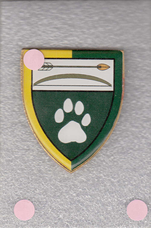 NORTHERN BORDER BATTALION SHOULDER FLASH 2 PINS