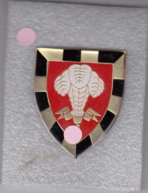 1 SA INFANTRY SHOULDER FLASH 3 PINS