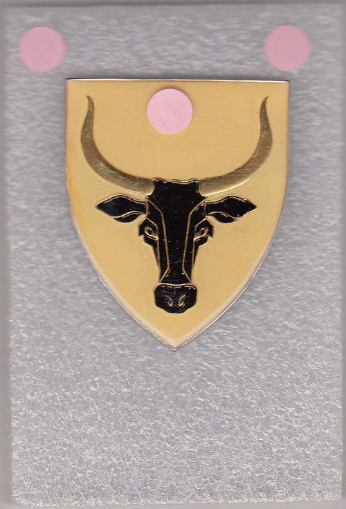 52 BATTALION SHOULDER FLASH 3 pins