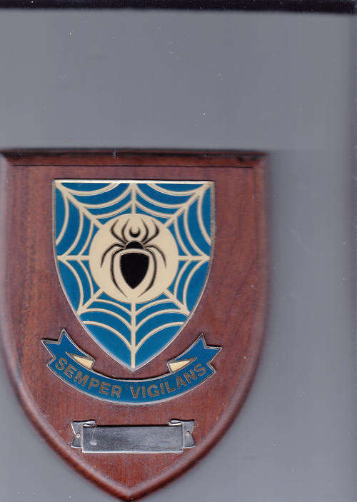 S.A.A.F. Ondangwa Plague