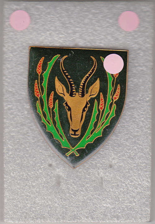 5 SA INFANTRY BATTALION  SHOULDER FLASH 3 pins