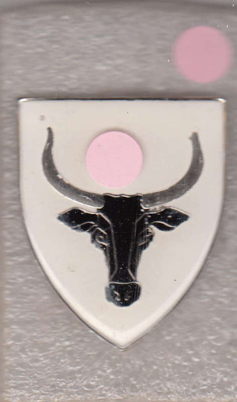 52 BATTALION POCKET FLASH all pins