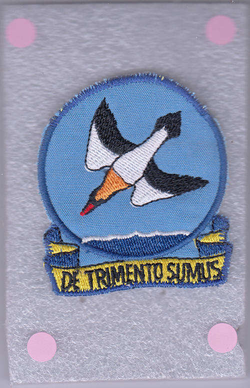 SAAF 85 COMBAT FLIGHT SCHOOL CLOTH BADGE