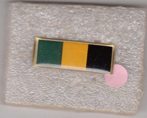 INFANTRY BERET CORPS COLOUR BAR