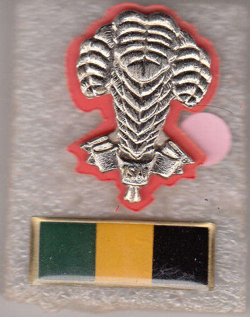 1 SA INFANTRY BERET BADGE ALL PINS