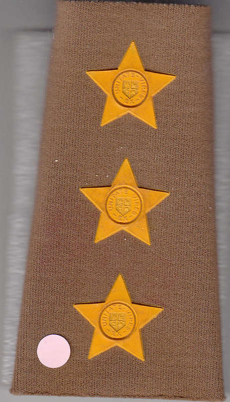 RANK BADGES FIELD DRESS CAPTAIN