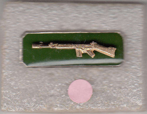 SA Prison Services Marksman Badge Gold Coloured Rifle on Green w/ Silver Coloured Backplate 2 Piece