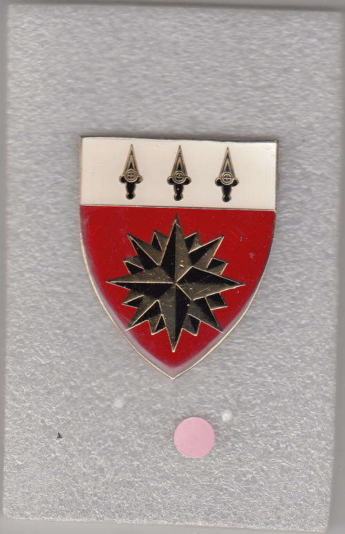 1 SPECIAL FORCES SHOULDER FLASH 3  PINs