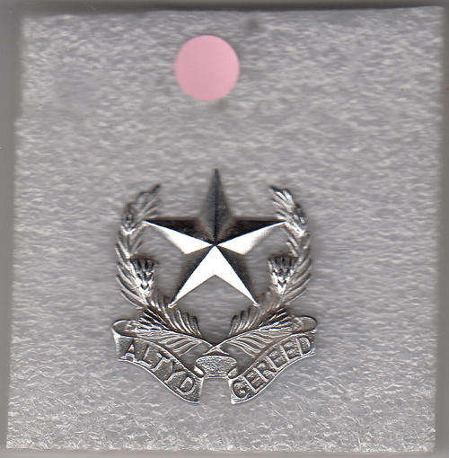 REGIMENT  BOTHA CAP BADGE ALL PINS 1970--TO DATE