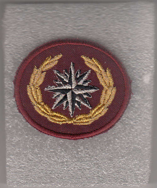 RECCE/SPECIAL FORCE BRIGADE BERET BADGE,ISSUED LATE 2001-10TH-ISSUE COMPASS ROSE