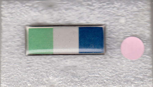 BERET BADGE /CORPS COLOUR  BAR SIGNALS 2 PINS