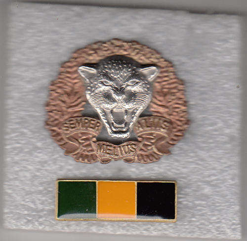 6 SA INFANTRY BERET BADGE AND BAR all pins