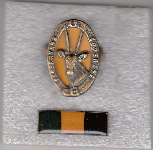 8 SA INFANTRY  BATTALION  CAP BADGES 2 X SCREW LUGS