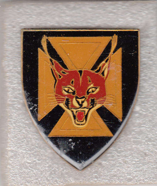 7 SA INFANTRY   SHOULDER FLASH  NO  PINS